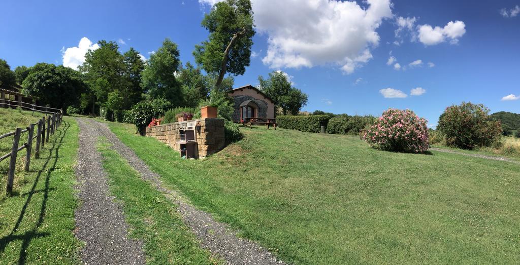 Il Castoro Di Martignano Villa Anguillara Sabazia Buitenkant foto
