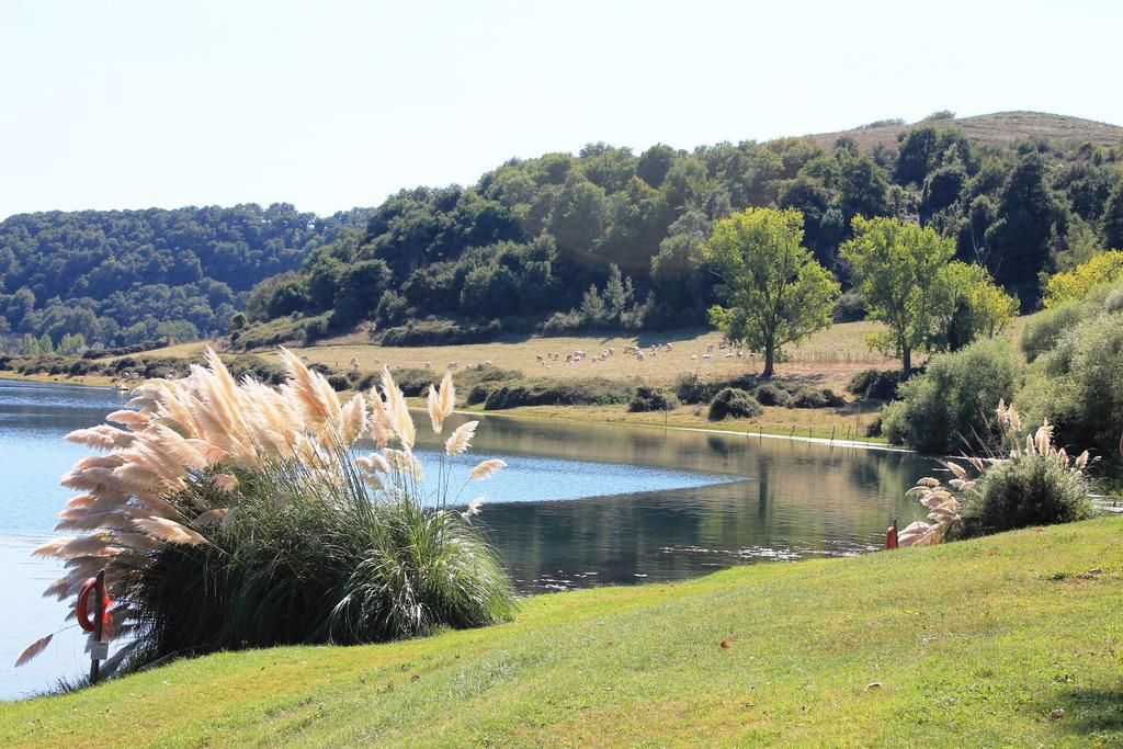 Il Castoro Di Martignano Villa Anguillara Sabazia Buitenkant foto