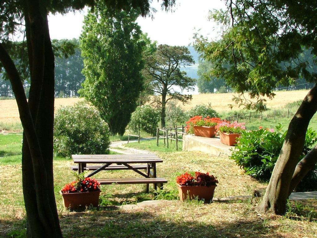 Il Castoro Di Martignano Villa Anguillara Sabazia Buitenkant foto